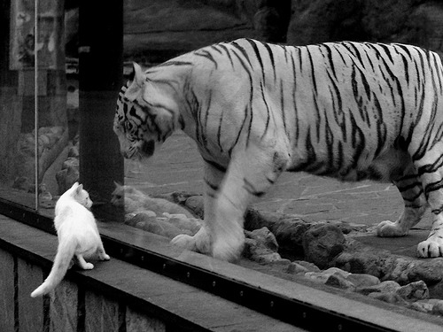 欧洲战场,巴萨惊险取胜乌克兰对手,皇马卡瓦哈尔持续高光