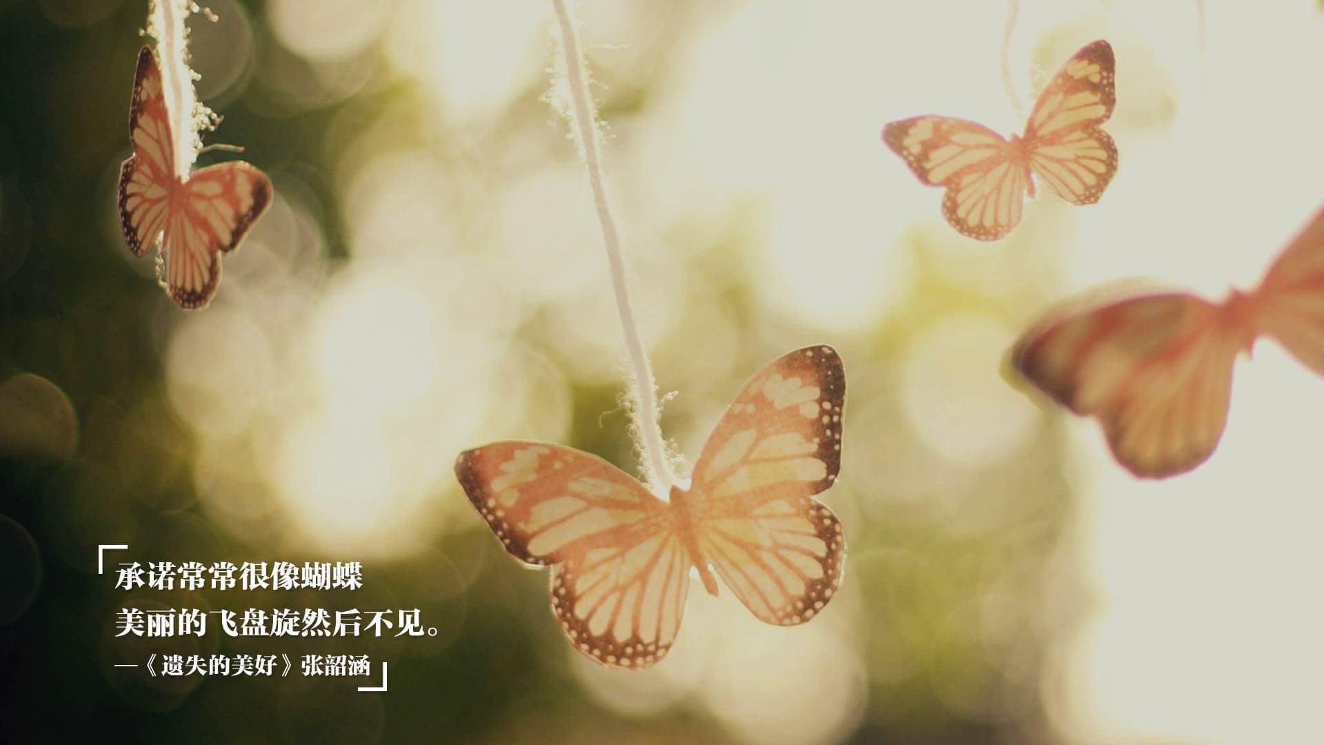 戴维斯杯,历史遗珠对决法网红土霸权—西西帕斯能否连接两个世界?