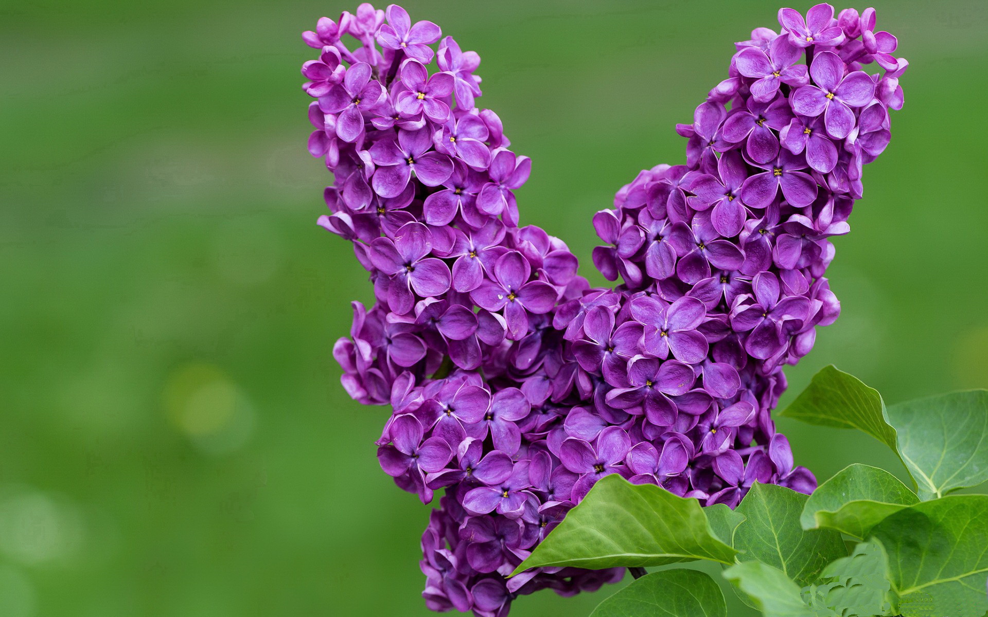 跨界狂想曲，当湖人大胜映照利拉德的英超奇迹