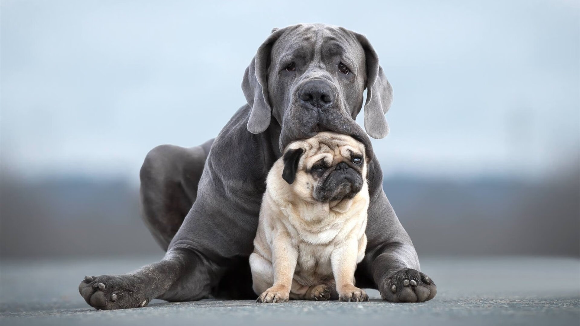 西亚卡姆封神之战，一己之力撕碎国王，猛龙弃将成老鹰新王