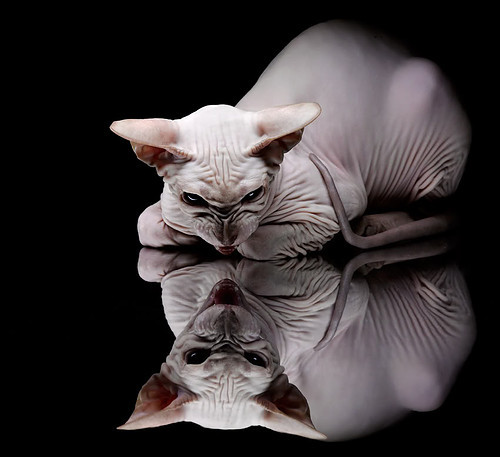 火焰吞噬桑巴,伊拉克终结巴西之夜,安菲尔德之光如何重定义足球的永恒