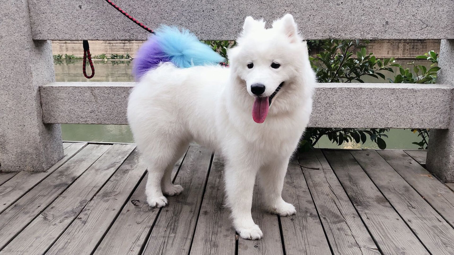 叹息之墙!对阵里昂他拉满评分,阿劳霍筑起乌拉圭柏林墙