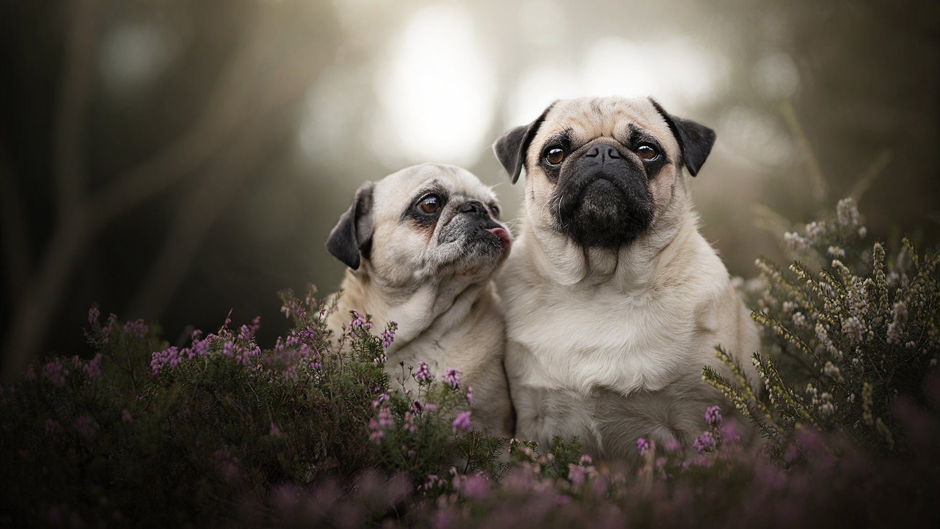 当法老之队遇上奥林匹斯众神，厄德高一球穿越三千年文明对话