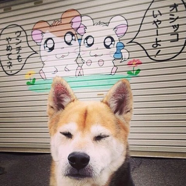 破碎与重塑，当凯恩完成自我救赎，毕尔巴鄂用西班牙的坚韧为足球写下新定义