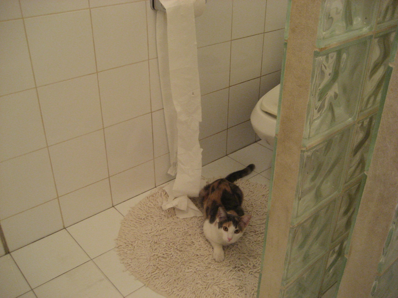 宇宙级的教科书对决，当76人绝地翻盘上海滩，杜兰特如何定义篮球的终极美学？