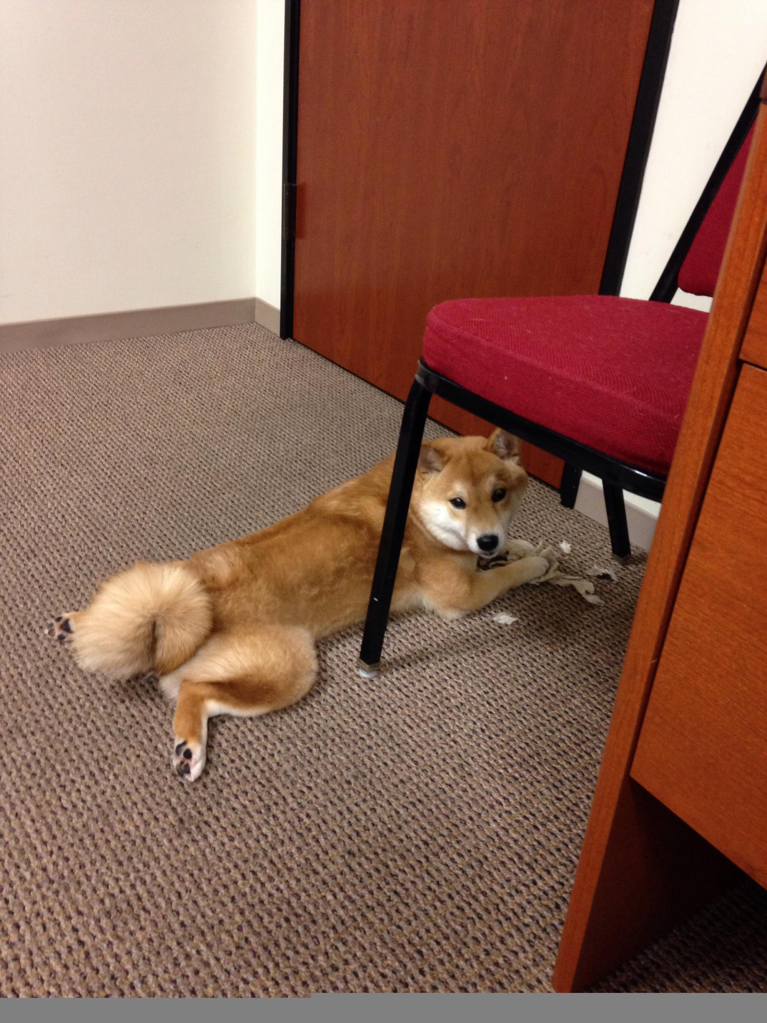 独此一份！小贾伦8分钟轰19分，死亡凝视让比赛提前失去悬念