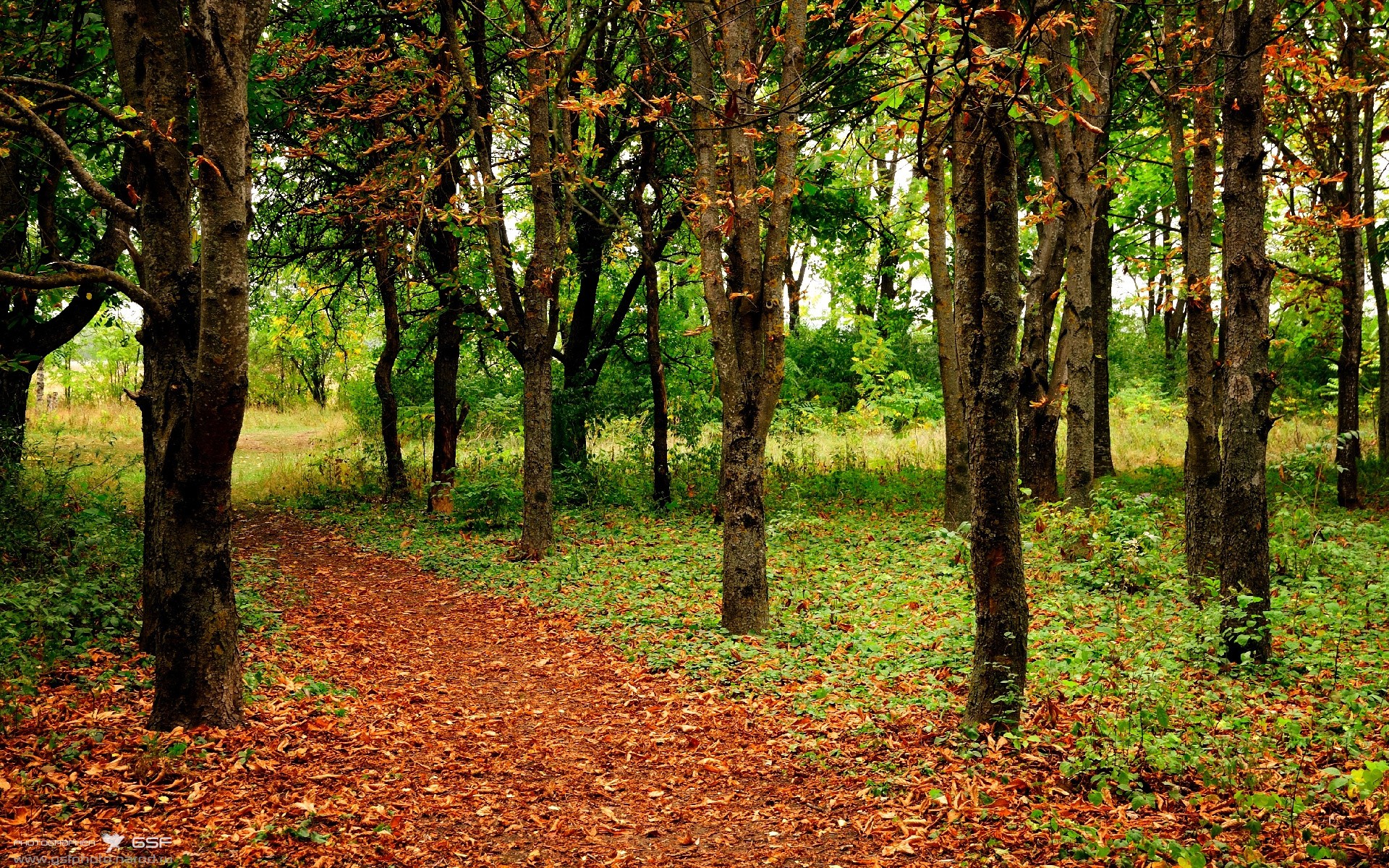 封锁的艺术，从诺坎普到NBA，两种防守如何定义顶级对决