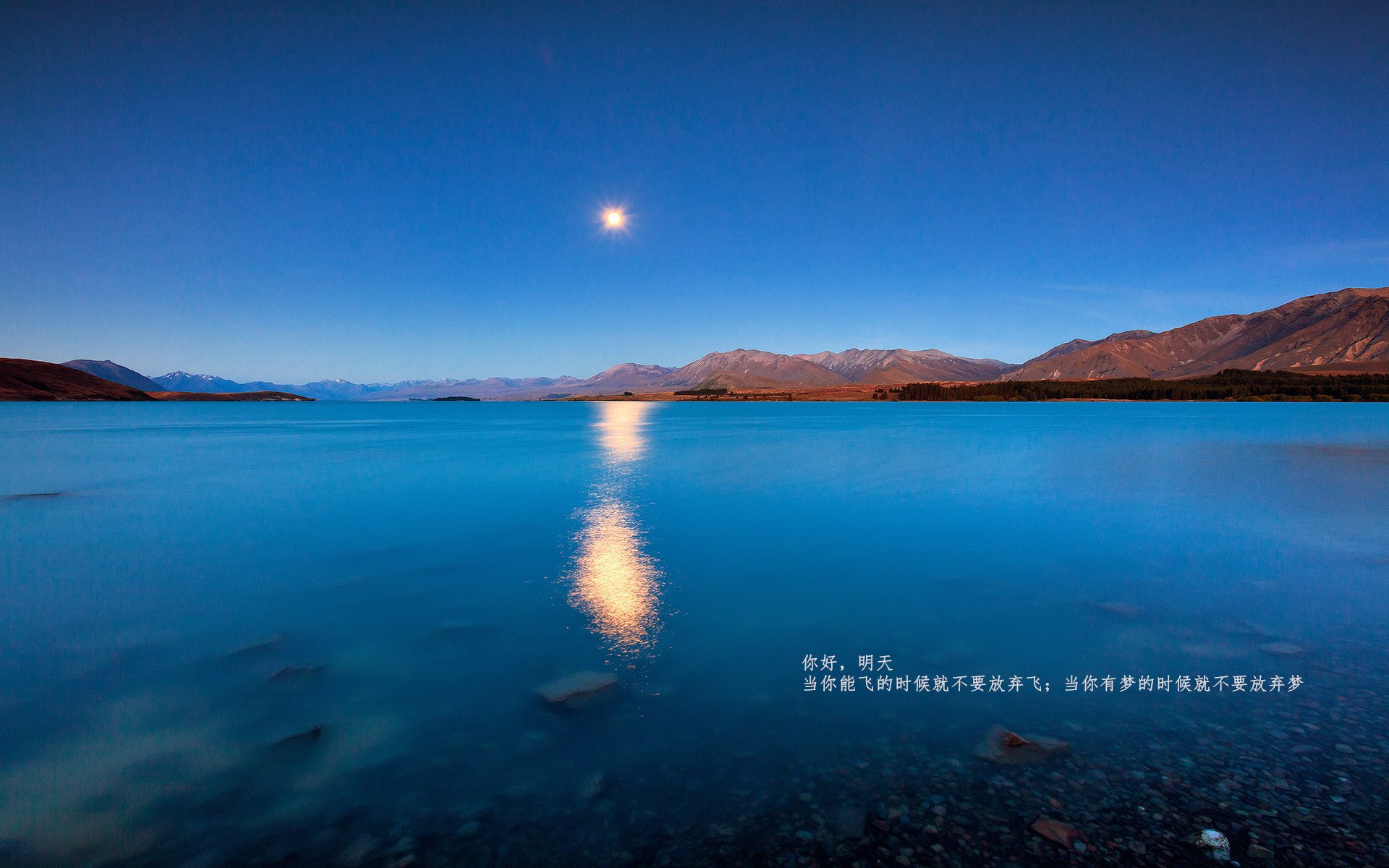 爱游戏在线-四轮与地板的交响，当F1引擎轰鸣声穿透骑士终场哨音
