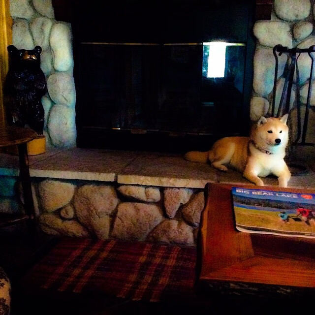 众神黄昏与独行者的金杯，当骑士掀翻掘金，恩比德在NBA总决赛接管王座