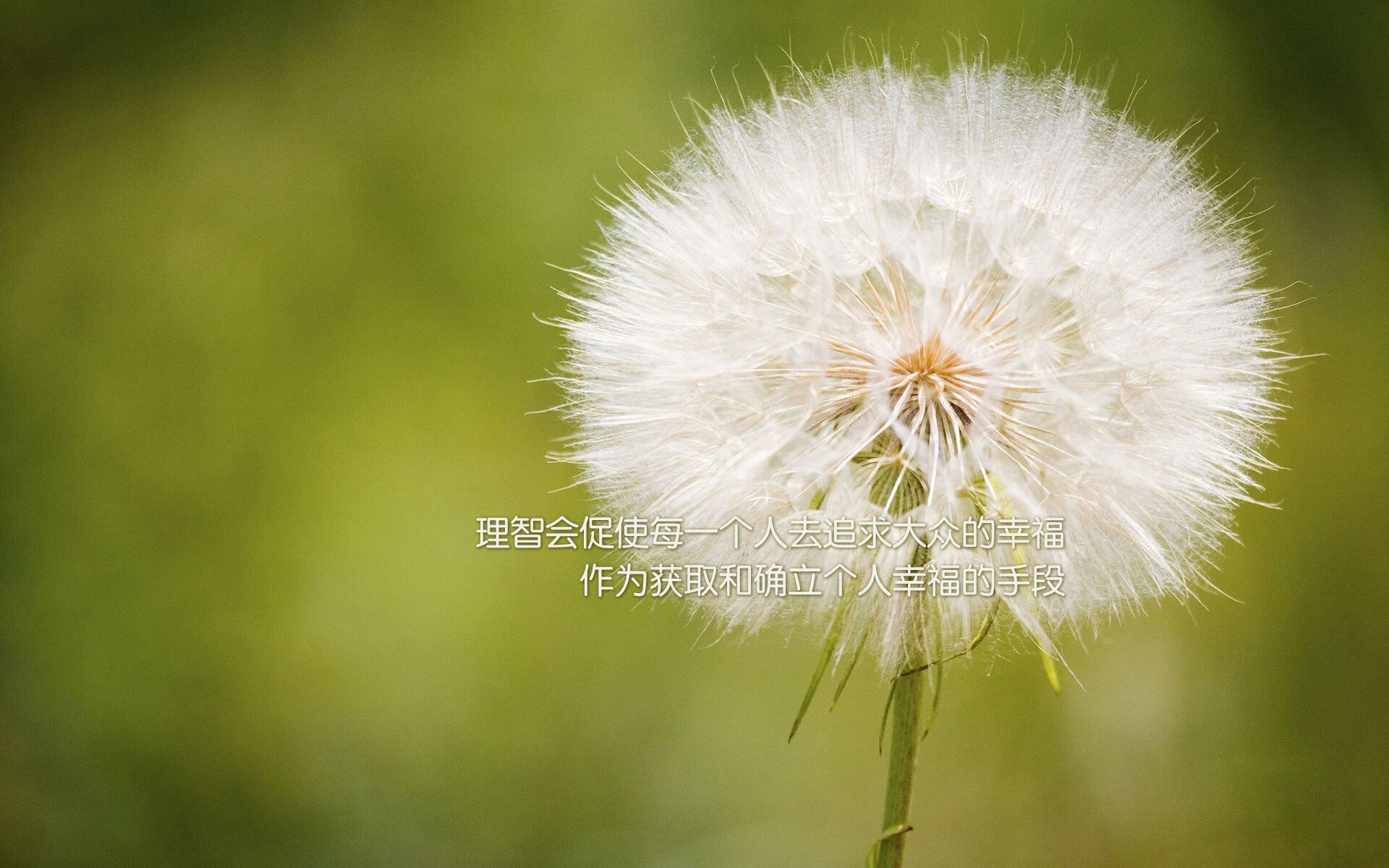 控球为王,2026世界杯E组焦点战,阿诺德主导比赛,葡萄牙完胜波兰