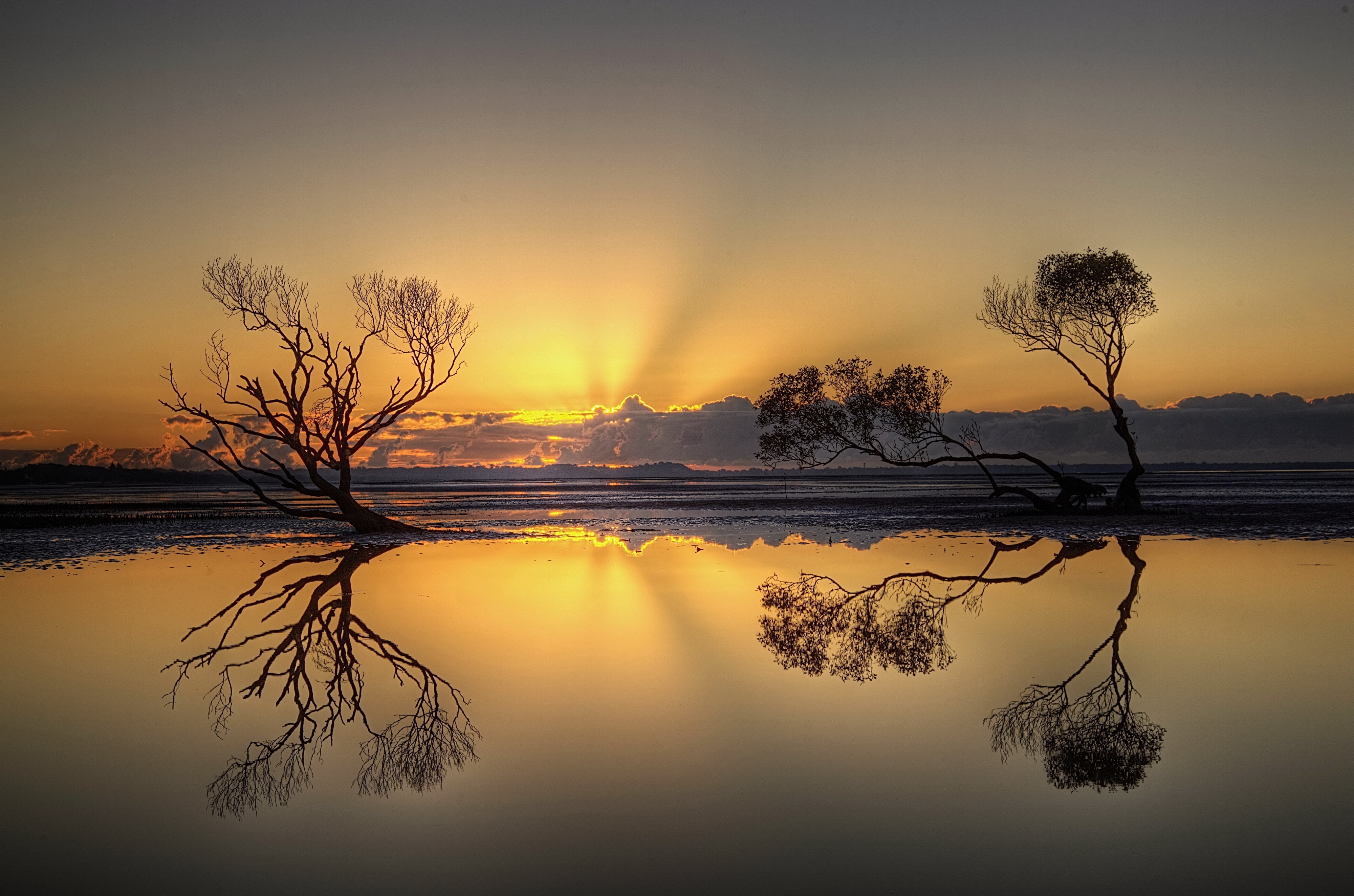 2026,久保建英的绝杀时刻,亚洲足球新王者的加冕礼